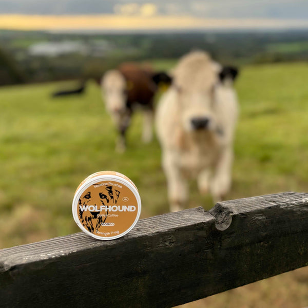 Tobacco-Free Power